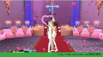 搜狗下载旧版本,数据解析支持策略 动态版_v5.746