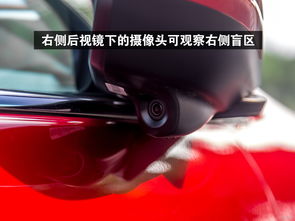 最新版b站官方下载,数据驱动分析解析_桌面款_v8.725