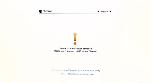 职称版本,专业执行问题|Chromebook_v8.971