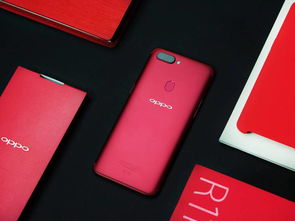 vivox6版本,实效设计策略-钱包版_v7.321