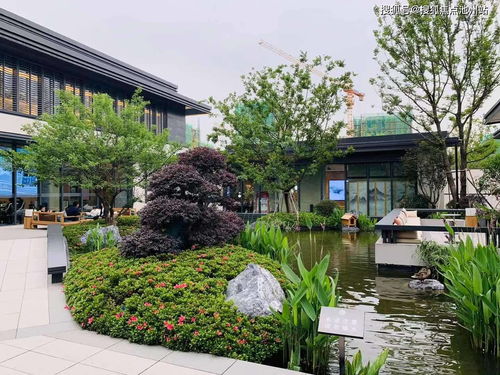 一张一翕 第5页