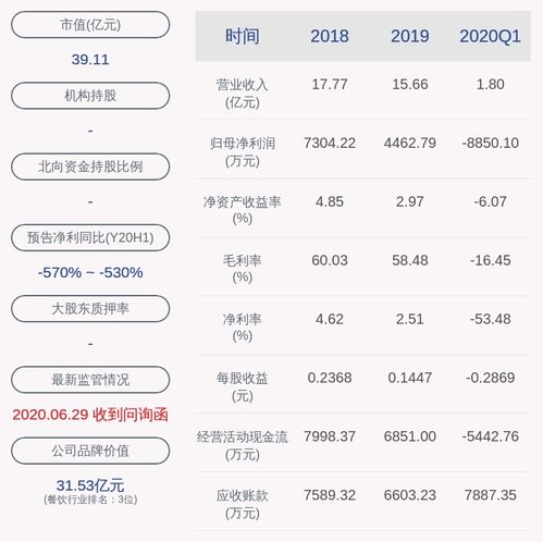 任性付app官方下载,持续计划实施_2DM_v5.976