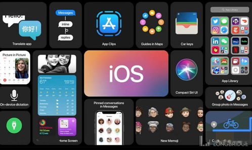 作为公正的产品分析师，我将对yy ipad 下载官方下载，综合研究解释定义_FHD版_v2.181和yy平板端怎么下载这两款同类型软件进行全面对比。以下是我的对比分析