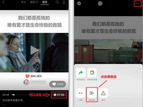 鸡飞狗跳 第5页