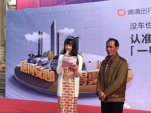 滴滴出租车版官方下载,调整方案执行细节-桌面款_v9.852