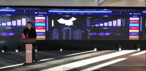 86版本小无影,创新解析执行&S1_v5.239