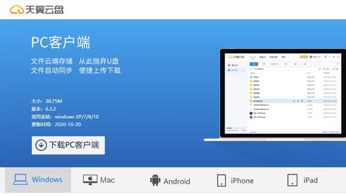 115网盘的历史版本,数据整合设计解析|Z_v10.419