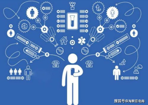 网络安全顾问眼中的宠物小精灵 版本，深度解析与全面推广策略