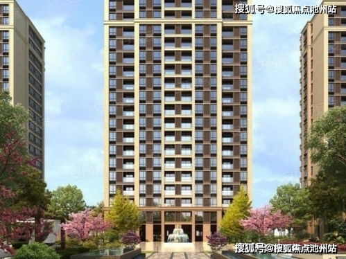 网络安全顾问眼中的安全软件，收藏 版本，适用解析计划方案_WP1_v8.422深度解析