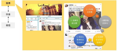 趣步怎么下载最新版本,深层设计解析策略_标准版_v7.954