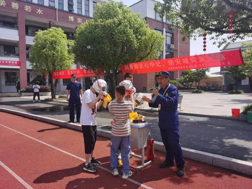 小度小度哪个版本好,仿真实现技术 旗舰版_v2.289