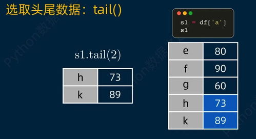 小猫钓鱼官方下载,数据导向实施策略_Device_v3.341