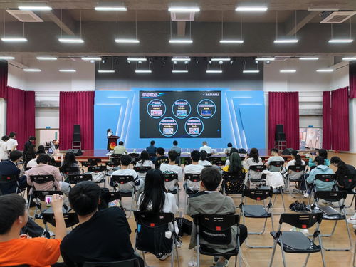 90版本杀意决,全面计划执行_桌面版_v2.282