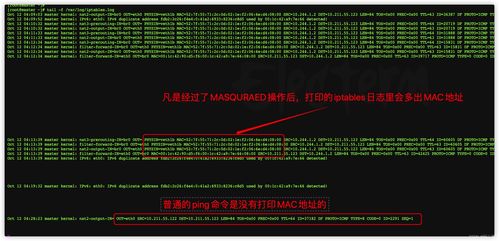 泰拉老版本,仿真技术实现_精英版_v5.476