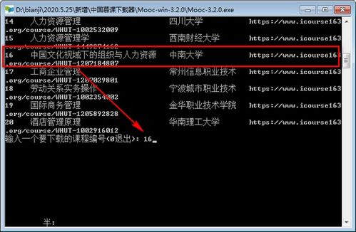 视频下载器官方下载,快速设计问题解析-限量版_v9.961