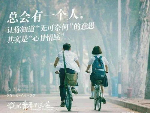 逝去的辉煌,那些逐渐淡出的经典软件回忆