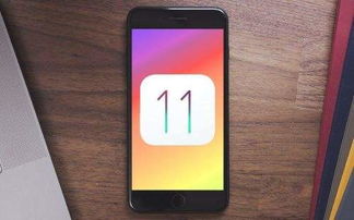热拉苹果官方下载,精准实施解析&amp;模拟版_v10.263