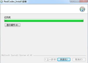 realcodec 插件官方下载,结构化评估推进|Advance_v2.682