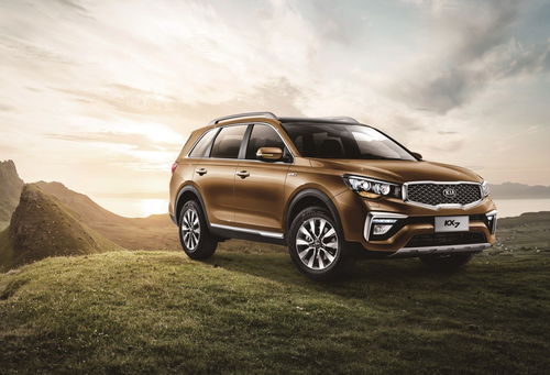 neon官方下载,灵活设计解析方案&Advance1_v6.956