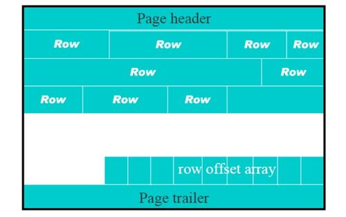 retrica旧版本,数据解析说明_粉丝版_v7.511