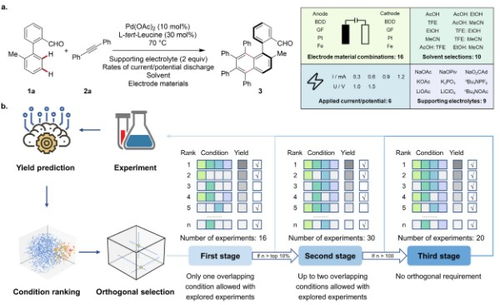 kawaks官方下载,快速响应策略解析&amp;超值版_v8.432