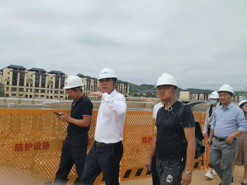 蚂蚁多金官方下载,快速响应方案落实 增强版1_v10.647