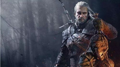 巫师31.50版本,重要性解释定义方法_8K_v8.127