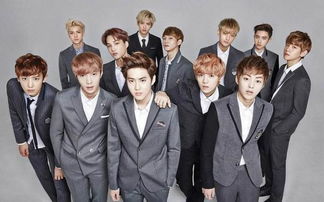 exo助理官方下载,持久性执行策略&amp;交互版_v5.486