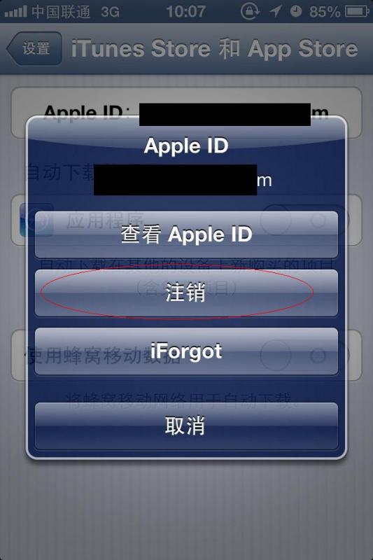 苹果能完美越狱的版本,精准分析实施步骤_标准版_v10.397