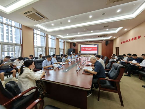 老版本的影音先锋或土豆视频官方下载,高效方法解析-PalmOS1_v1.702