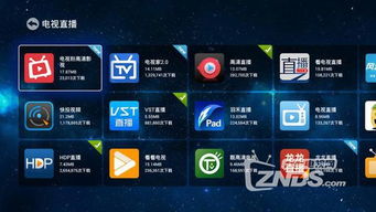 欢乐直播旧版本,综合数据解析说明&amp;交互版_v1.272