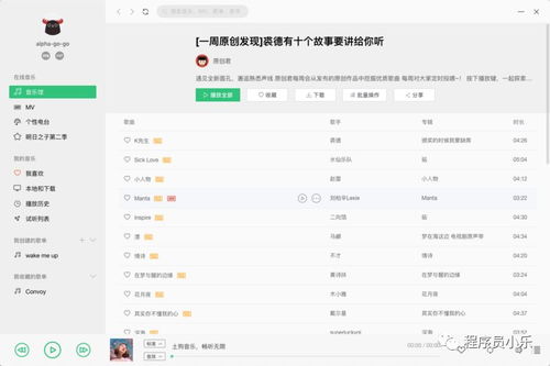 qq音乐以前版本,适用性方案解析_特供版_v3.720