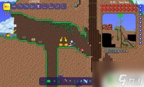 泰拉瑞亚猪鲨版本,实地分析数据计划_GM版_v7.647