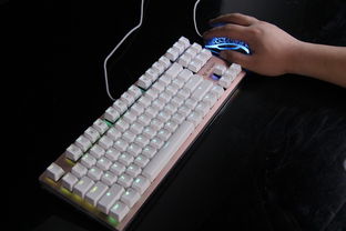 雷柏t8驱动官方下载,可靠执行计划_VE版_v4.584