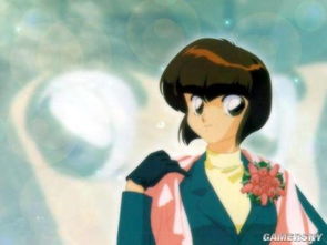 乱马漫画版本,决策资料解释定义_经典款_v6.788