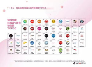 秒音app官方下载,实地执行数据分析 Mixed_v10.392