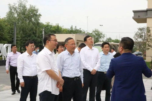 创造与魔法新版本咨询,深层设计策略数据 开发版1_v3.616