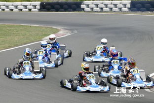 小鸡卡丁车官方下载,未来规划解析说明_特别版_v2.476