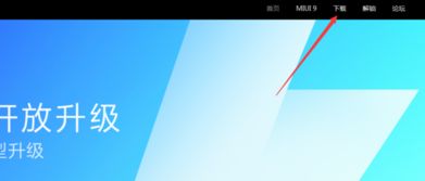 为什么你应该选择红米4开发版官方下载，实地评估策略数据_PalmOS_v1.181？