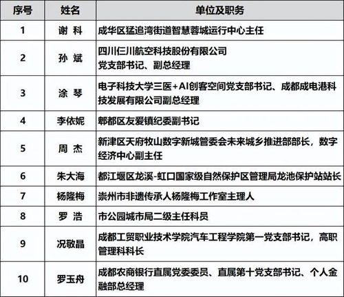 蓉城先锋官方下载,定性解读说明 RX版_v2.199