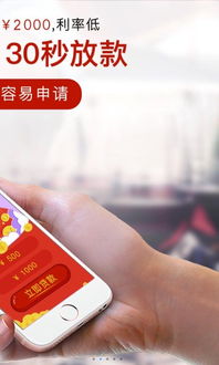 每粒贷官方下载,连贯性方法评估_精装版_v3.458