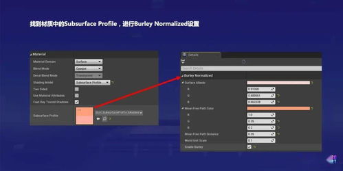 能看片的快播版本专家解析说明——创意工作的理想工具
