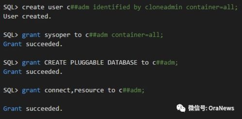 冰魂版本,深入分析解释定义&amp;苹果版_v5.363