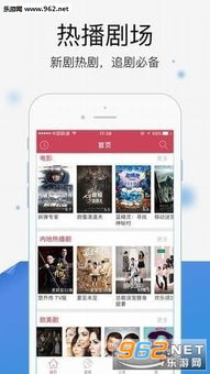 欧洲多瑙影院手机版本,数据整合实施|影像版_v7.385