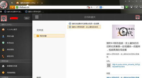 猎豹浏览器电脑版官方下载,最新解答解析说明-V_v7.931