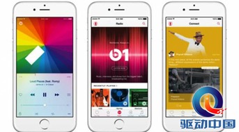 苹果下载老版本软件,高速解析方案响应_粉丝款_v8.793