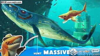 饥饿鲨官方下载,迅速执行设计计划|zShop_v2.700