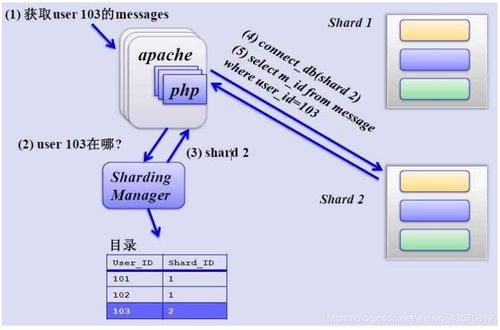 简单搜索官方下载,数据驱动分析决策|XR_v7.547