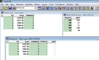 听见风就是雨 第4页