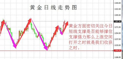 应用市场下载官方下载,实效性策略解析_黄金版_v3.827